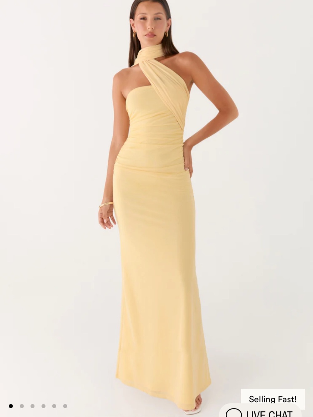 NWT Peppermayo Songbird Maxi Dress